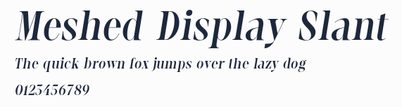 Meshed Display Slant
