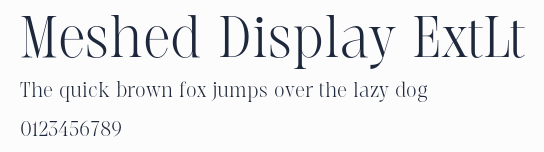 Meshed Display ExtLt