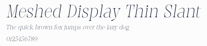 Meshed Display Thin Slant